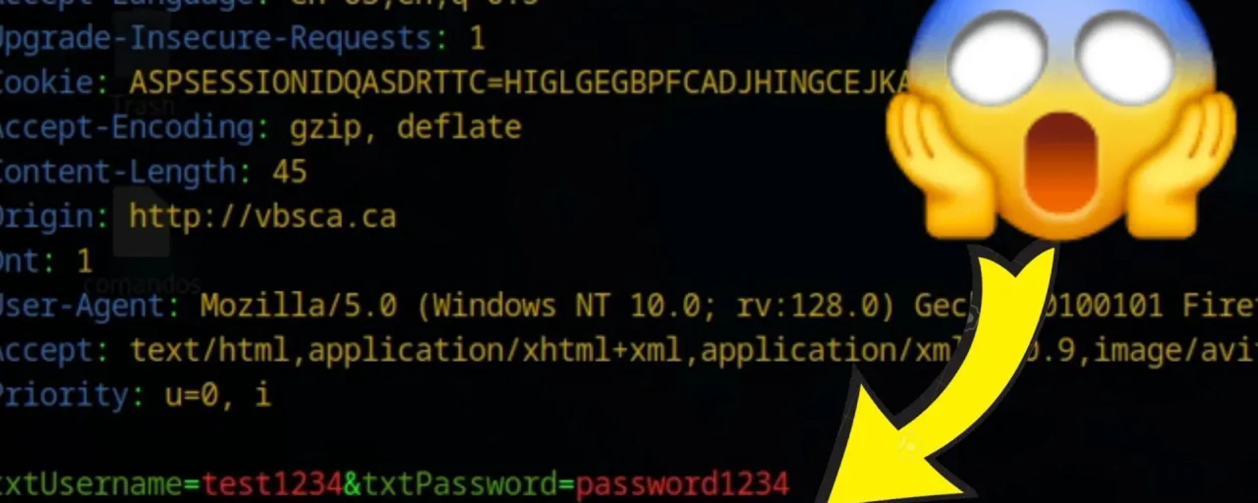 xd